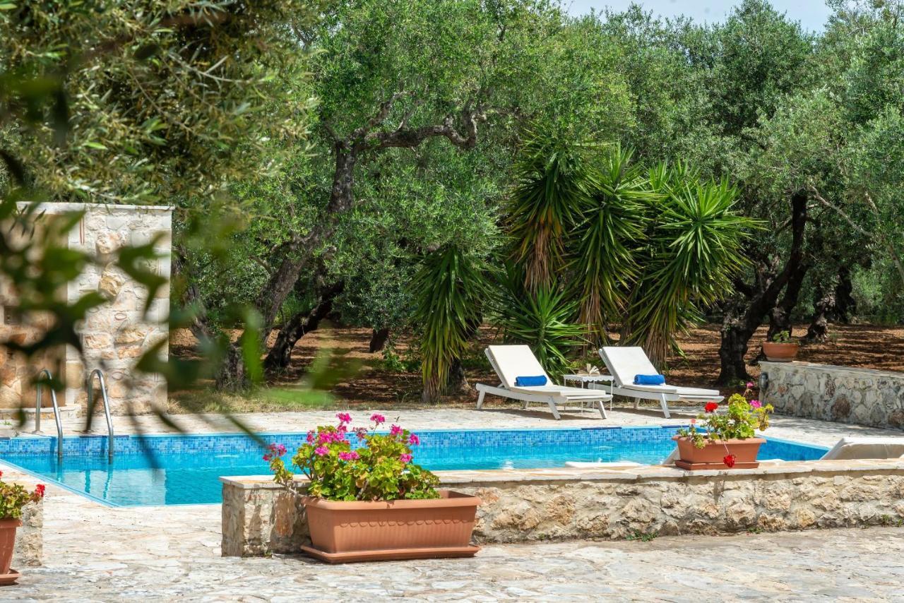 Olivegrove Villa - Nestled In Olive Trees With Private Pool, By Zantewize Трагаки Екстериор снимка