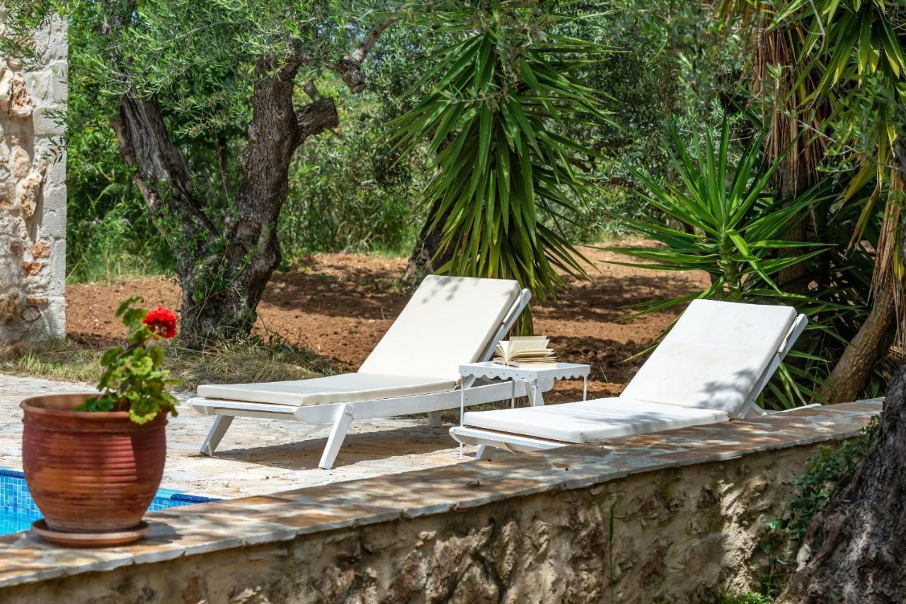 Olivegrove Villa - Nestled In Olive Trees With Private Pool, By Zantewize Трагаки Екстериор снимка